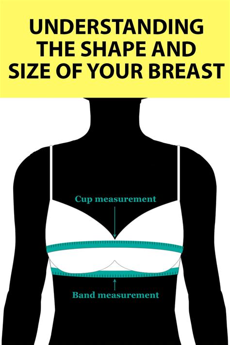 firm titties|The 12 Different Breast Shapes and Types